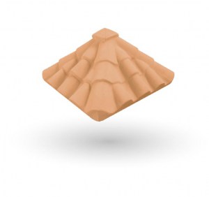SALMÓN